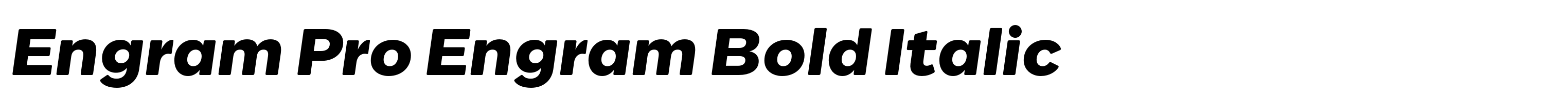 Engram Pro Engram Bold Italic